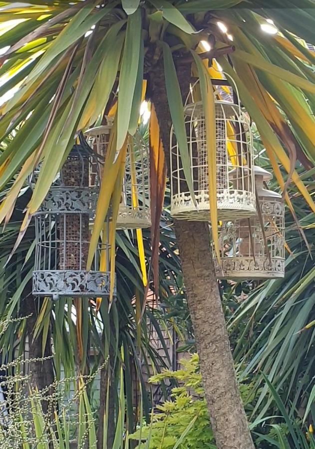 Tropical Garden Oasis Rooms Бирмингам Екстериор снимка