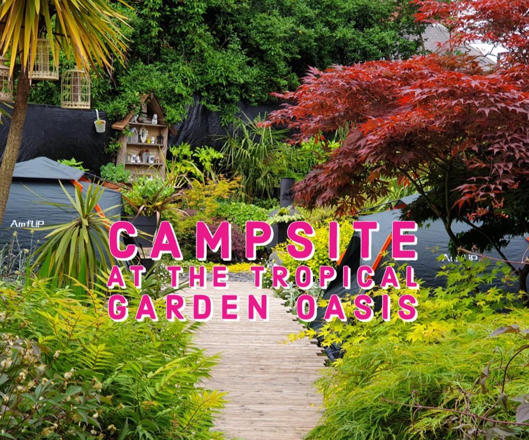 Tropical Garden Oasis Rooms Бирмингам Стая снимка